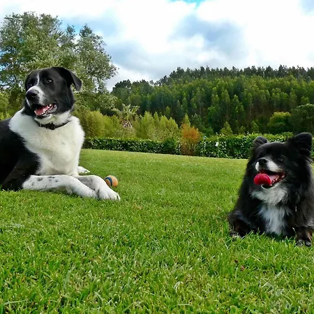 Bed & Breakfast Vida-vi, And 4*