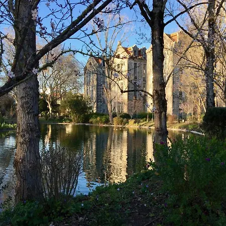 Vida-vi, And 4* Carvalhal Bemfeito