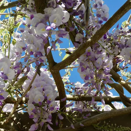 Bed & Breakfast Vida-vi, And 4*