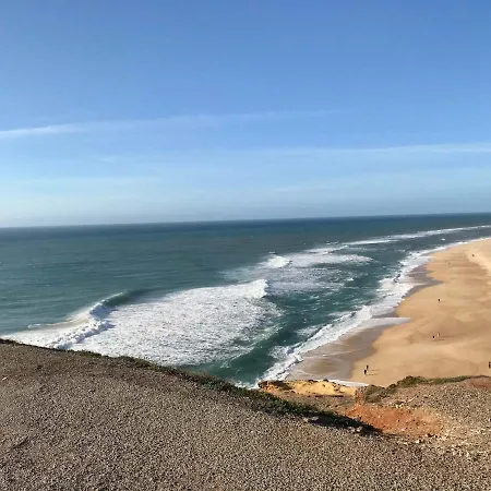 Vida-vi, And Carvalhal Bemfeito