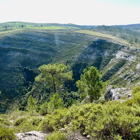 Vida-vi, And Bed & Breakfast