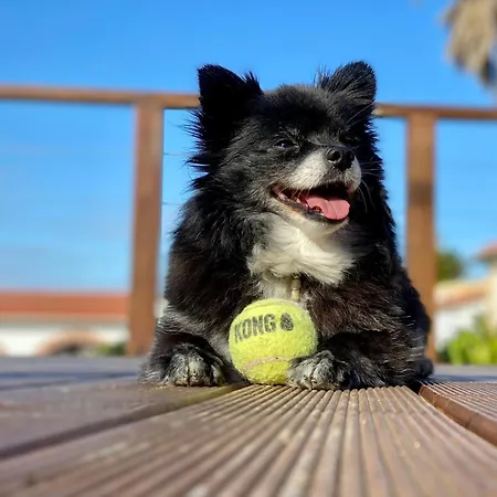 Bed & Breakfast Vida-vi, And 4*