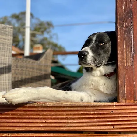 Vida-vi, And 住宿加早餐酒店 4*