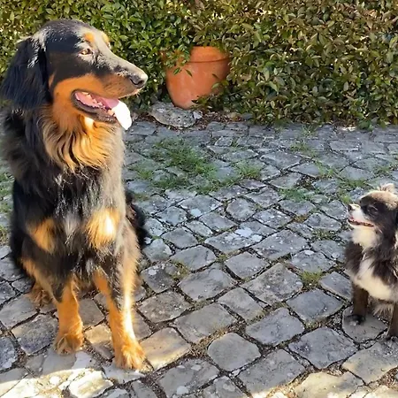 住宿加早餐酒店 Vida-vi, And Carvalhal Bemfeito