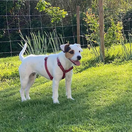 Vida-vi, And 住宿加早餐酒店 4*