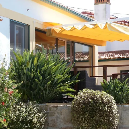 Vida-vi, And Santa Catarina (Leiria)
