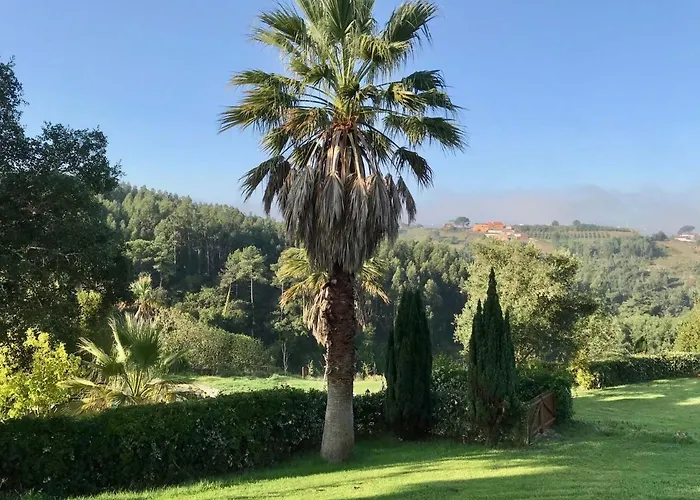 住宿加早餐酒店 Vida-vi, And 4*