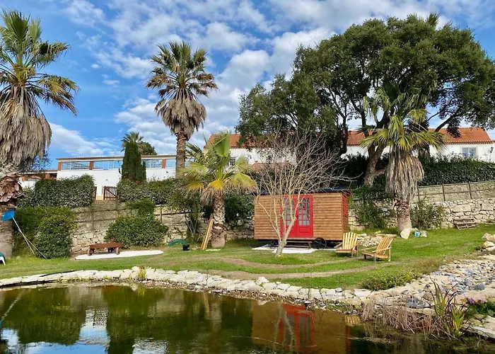 Vida-vi, And 4* Carvalhal Bemfeito