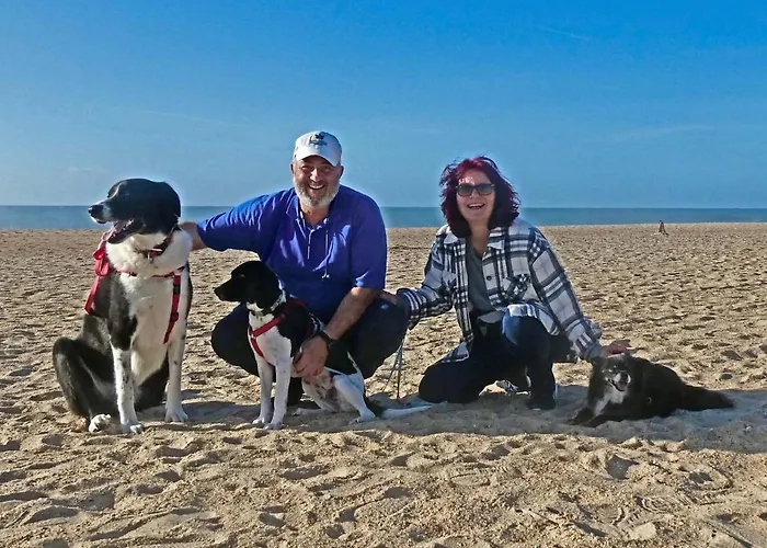 Bed & Breakfast Vida-vi, And Carvalhal Bemfeito