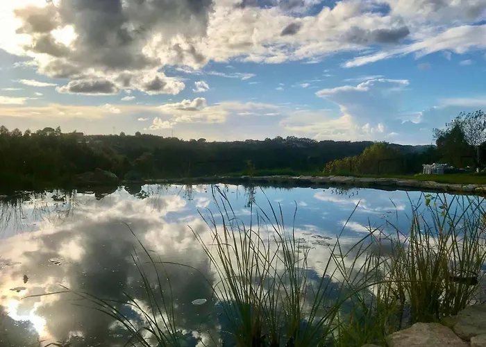 Bed & Breakfast Vida-vi, And Carvalhal Bemfeito