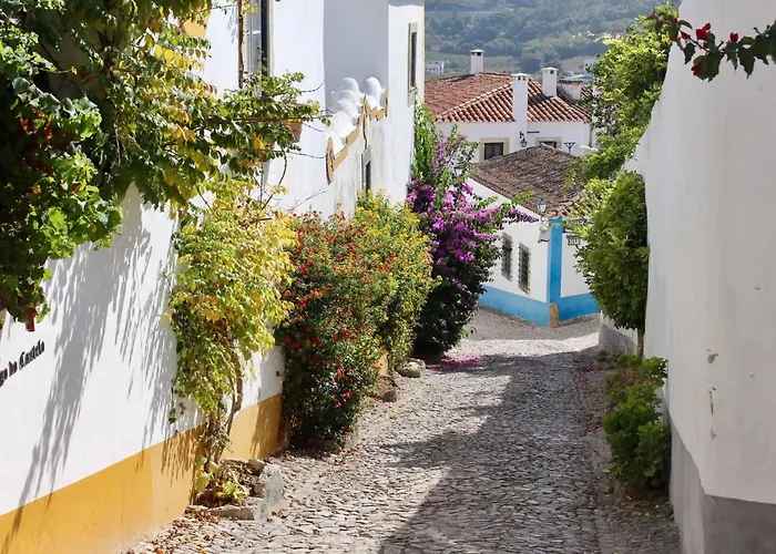 Vida-vi, And Carvalhal Bemfeito