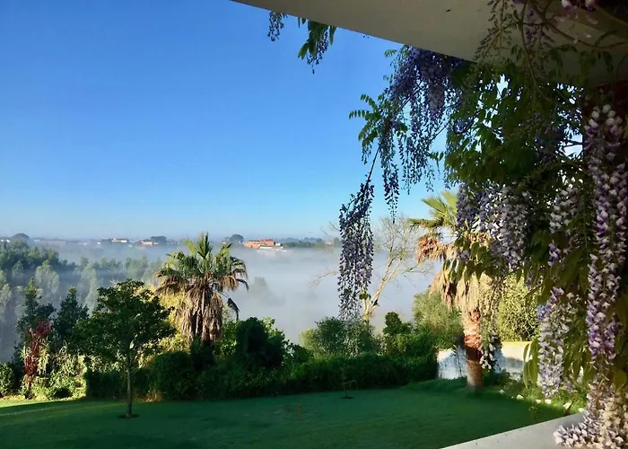 住宿加早餐酒店 Vida-vi, And 4*