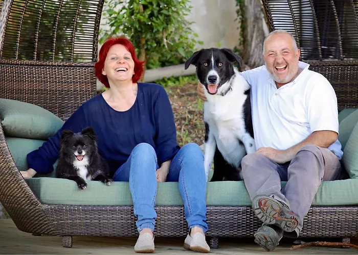 Vida-vi, And Carvalhal Bemfeito