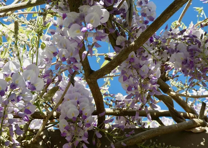 Bed & Breakfast Vida-vi, And 4*