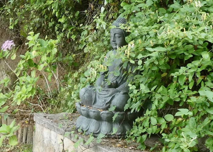 Vida-vi, And 住宿加早餐酒店