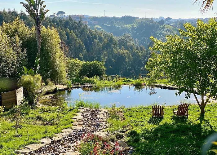 Vida-vi, And 4* Carvalhal Bemfeito