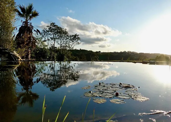 Vida-vi, And 4* Carvalhal Bemfeito