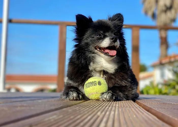 Bed & Breakfast Vida-vi, And 4*