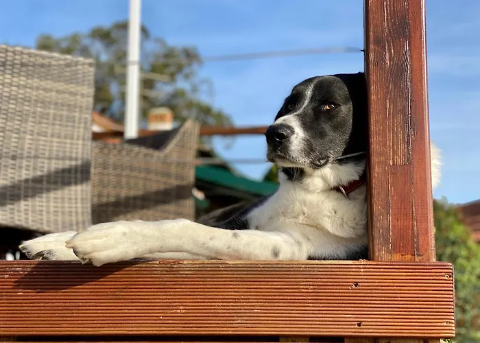 Vida-vi, And Bed & Breakfast 4*