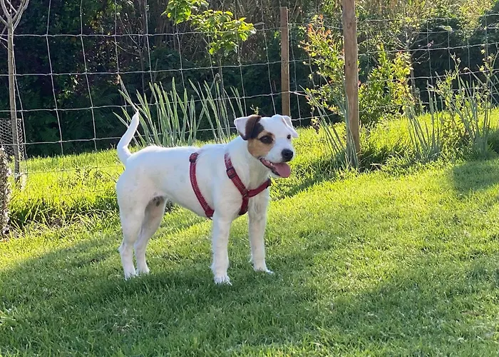 Vida-vi, And Bed & Breakfast 4*