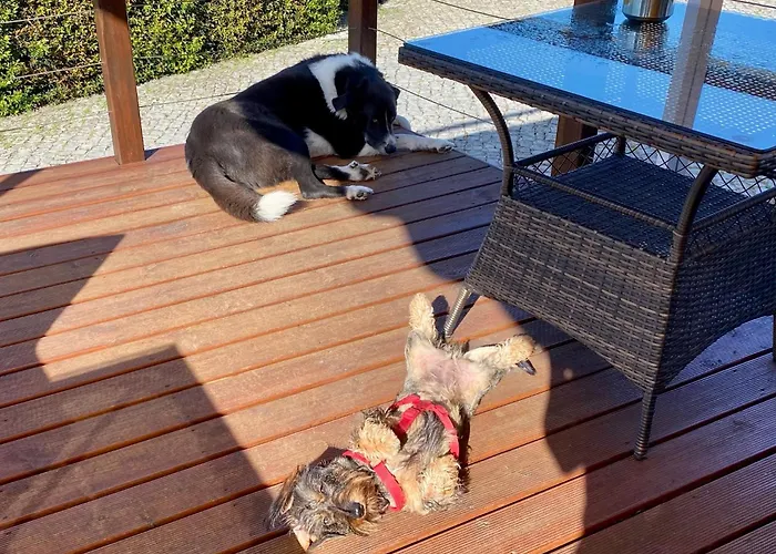 Bed & Breakfast Vida-vi, And Carvalhal Bemfeito