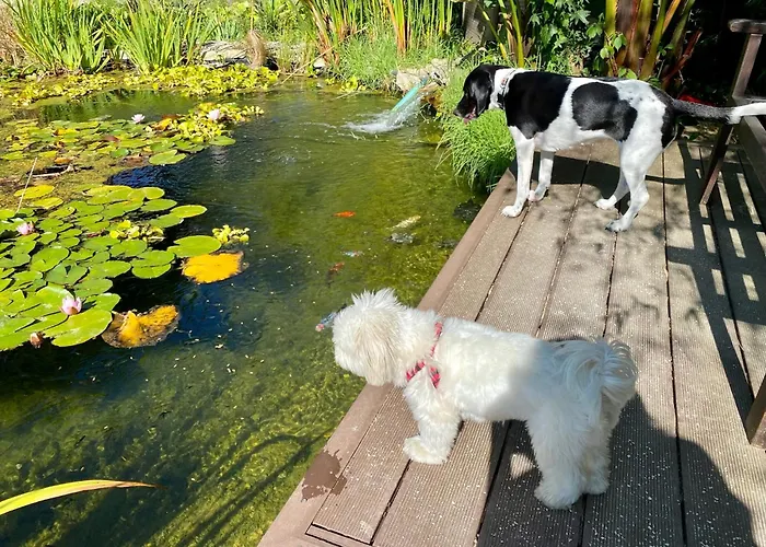 Vida-vi, And Bed & Breakfast